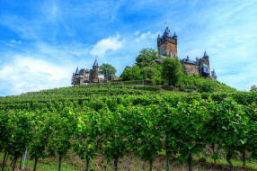 Castle in the vineyards - Cochem, Mosel Valley     2048x1365 castle in the vineyards - cochem,  mosel valley, ,  , , 
