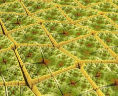 3� �������, ���������� , abstract, �����, ���, ����