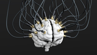 3д графика, другое , other, brain, кабели, мозг, провода