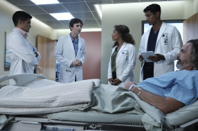      2000x1333  , the good doctor , , the, good, doctor