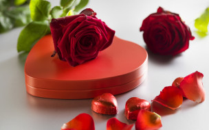      2880x1800 ,   ,  ,  , , , valentine`s, day, love, , roses, romantic, gift, , , heart, red