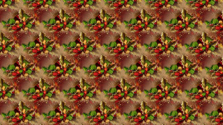     1276336 (a): :1920x1080