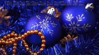     1277513 (a):cucushonok :1920x1080