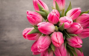      2880x1800 , , beautiful, , fresh, , tulips, , spring, flowers