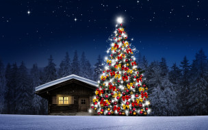 , , , , , winter, , , snow, , , , night, christmas, decoration, , merry, happy, tree, , 