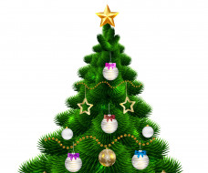 ���� ��� �������� ����� �1284599 �������(a):����� ����������:3632x3035