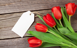      2880x1800 , , wood, love, flowers, red, , , tulips, romantic
