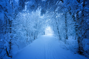  обои для рабочего стола 2500x1667 природа, зима, дорога, деревья, снег, норвегия