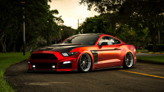,  , ford, mustang, gt