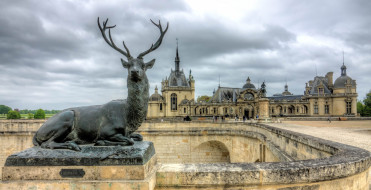 chantilly stag, ,  , 