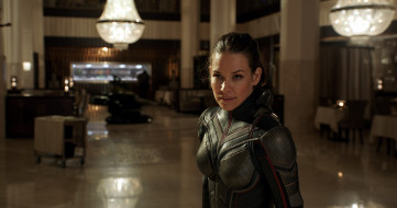 Ant-Man and the Wasp     2048x1080 ant-man and the wasp,  , ant-man, and, the, wasp