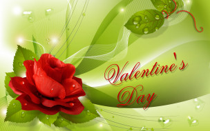 праздничные, день святого валентина,  сердечки,  любовь, фон, лепестки, роза
