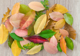 �������, ������, ���