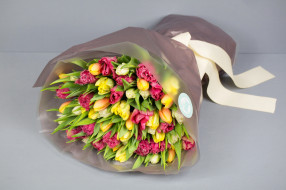      2000x1333 , ,  , , , , tulips