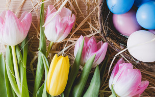 , , pink, , tulips, tender, spring, easter, decoration, , , flowers, happy, , eggs, , 
