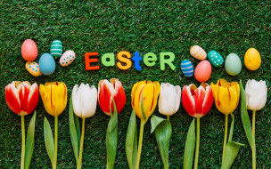 , , , , , easter, colorful, decoration, green, grass, , flowers, happy, eggs, , , spring, tulips