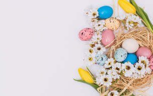      2880x1800 , , decoration, , happy, eggs, spring, , , , flowers, tender, pink, easter, 