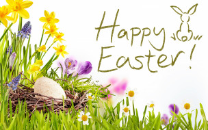 , , , easter, , , , , happy, flowers, spring, eggs, decoration, , 