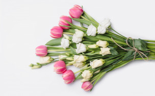      2880x1800 , ,  , , tender, , , , romantic, roses, fresh, , flowers, tulips, white, pink, wood, 
