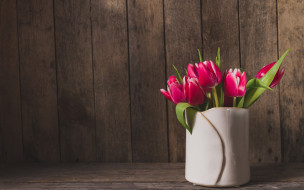      2880x1800 , , flowers, spring, , tulips, pink, wood, , fresh