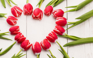      2880x1800 , , tulips, , spring, red, romantic, , wood, love, heart