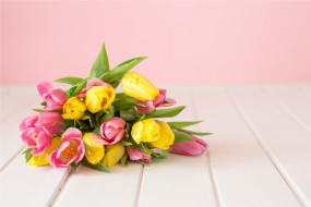      2556x1704 , , flowers, spring, , yellow, , tulips, pink, fresh, , 
