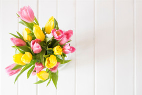      2520x1680 , , , fresh, , , spring, yellow, , tender, tulips, pink, wood, flowers