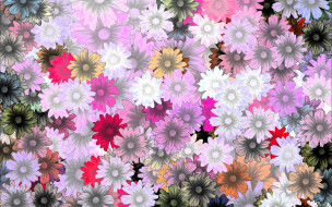  ,  , flowers, , 