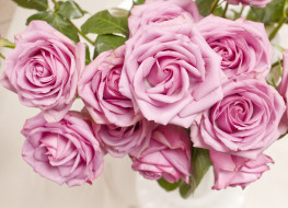      2665x1929 , , flowers, pink, , roses, , 
