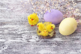      3800x2534 , , flowers, easter, wood, decoration, , , eggs, spring, happy, , 