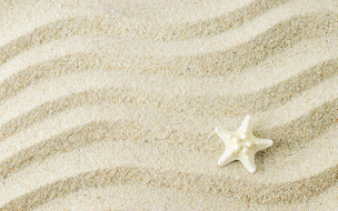 , ,  ,    spa-, background, , starfish, texture, sand, marine, beach, , , 