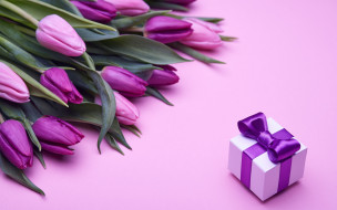      2880x1800 ,   , fresh, , love, , romantic, pink, , tulips, gift, purple, , flowers