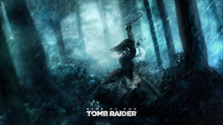 видео игры, rise of the tomb raider, лес, фон, девушка