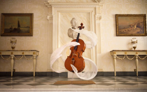 музыка, -музыкальные инструменты, зал, виолончель, мебель, шарф, статуя