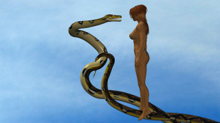     1382695 (a): :1920x1080