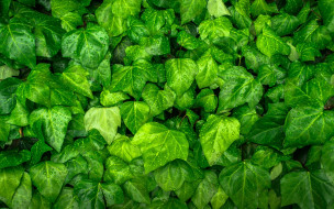     1384378 (a): :2880x1800