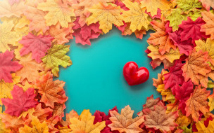 , ,  ,  , , autumn, love, , romantic, leaves, , red, heart, , valentine, maple