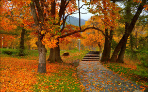      3000x1869 , , trees, colors, autumn, park, , fall, , , leaves, 