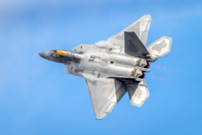 F-22 Raptor     1920x1280 f-22 raptor, ,  , 