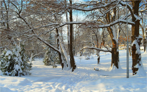      3004x1885 , , trees, snow, park, winter, , , , 