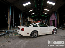 2007 shelby GT     1600x1200 2007, shelby, gt, , mustang