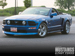 2006 ford mustang GT     1600x1200 2006, ford, mustang, gt, 