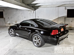 2000 ford mustang GT     1600x1200 2000, ford, mustang, gt, 