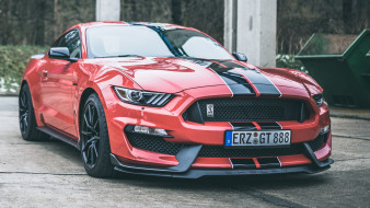      2560x1440 , mustang, ford, shelby, gt350