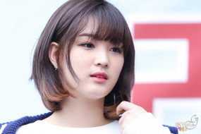     1432012 (a):cucushonok :1920x1280