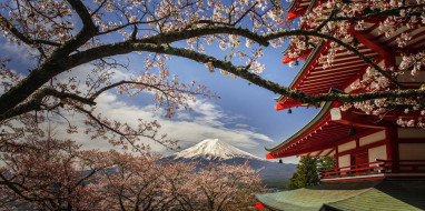 chureito pagoda japan, города, - пейзажи, простор