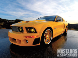 2006 ford mustang GT     1600x1200 2006, ford, mustang, gt, 