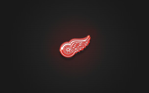      1920x1200 ,  , red, wings, detroit