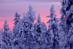      1920x1280 , , , lapland, finland, , , , 