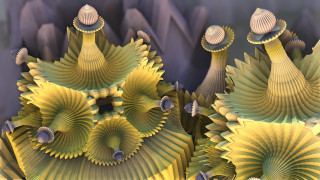 3 ,  , abstract, , , 